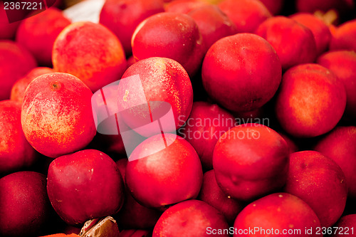 Image of fresh orange red apricots peaches macro closeup on market