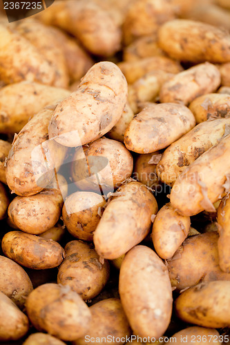 Image of group of potatoes macro closeup market outdoor