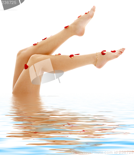 Image of beautiful legs in blue water