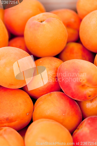 Image of fresh orange red apricots peaches macro closeup on market