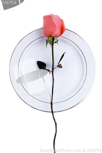 Image of Place Setting with Rose