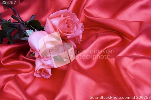 Image of Rose with silk
