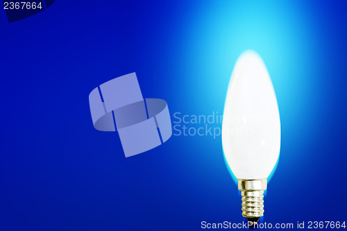 Image of White bulb