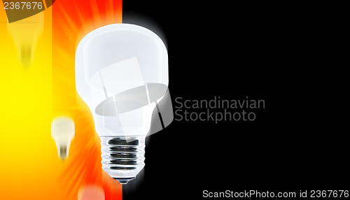 Image of White bulb