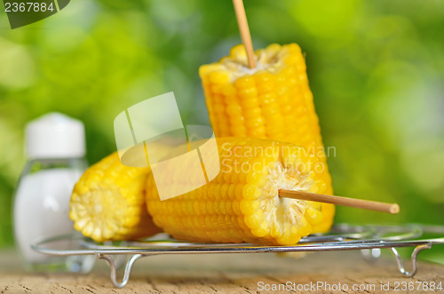 Image of corn boiled