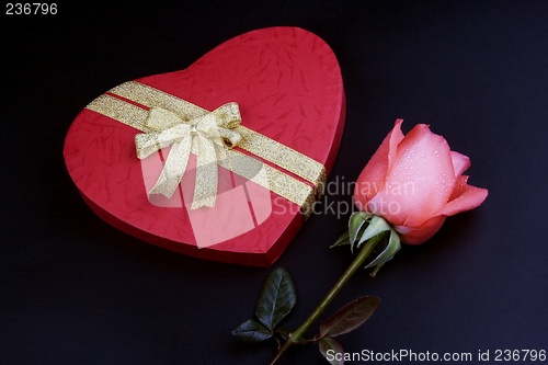 Image of Pink Rose With Gift Box