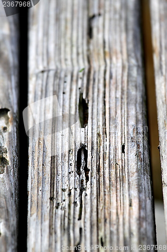 Image of Old Wood Texture