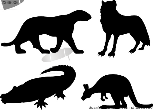 Image of Wildlife Silhouettes