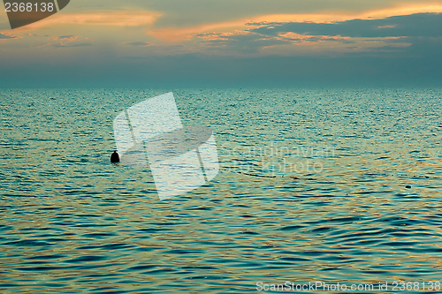 Image of Sea after sunset near the beach