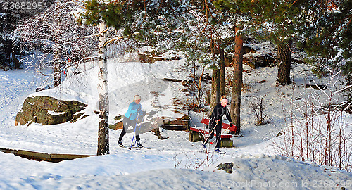 Image of Skiing