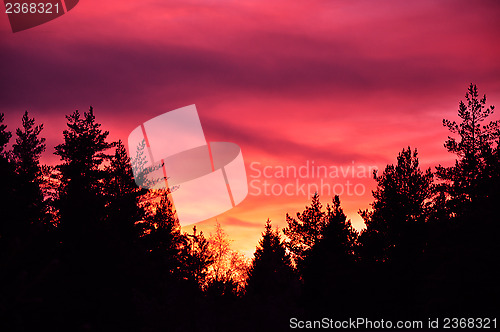 Image of Fire in the sky