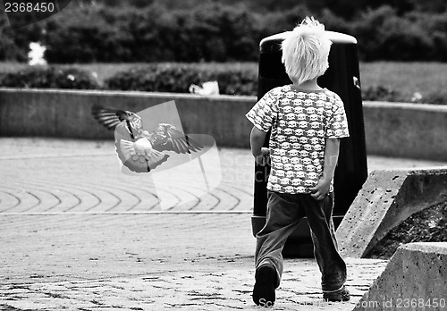 Image of Urban hunter