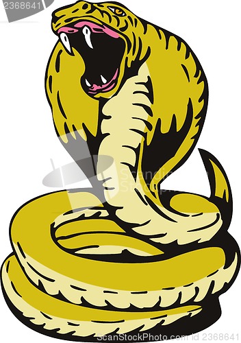 Image of Cobra Viper Snake