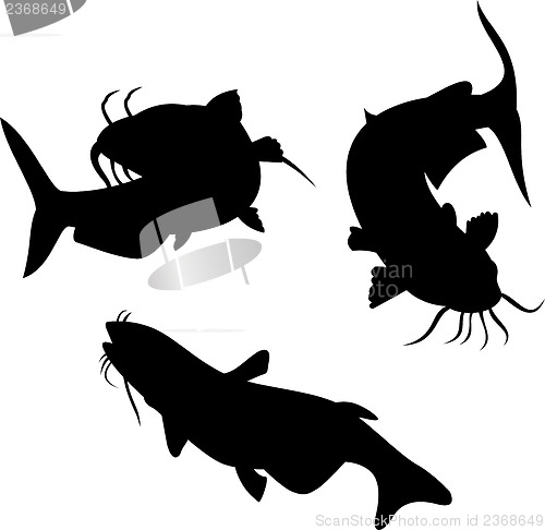 Image of Catfish Silhouette