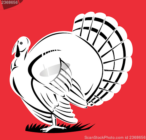 Image of Turkey Retro