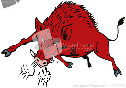 Image of Wild Hog Jumping