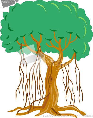 Image of Tree with Vine
