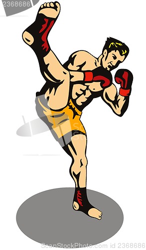 Image of Kickboxer Kicking 