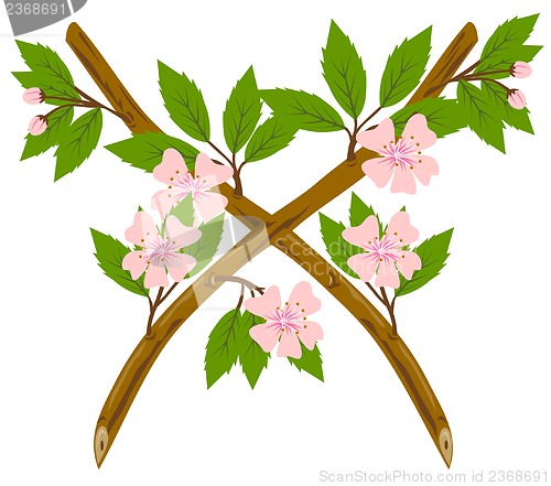 Image of Cherry Blossom Flower Branch