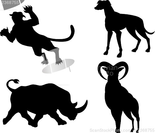 Image of Wildlife Silhouettes