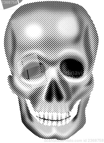 Image of Skull