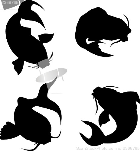 Image of Koi Carp Silhouette