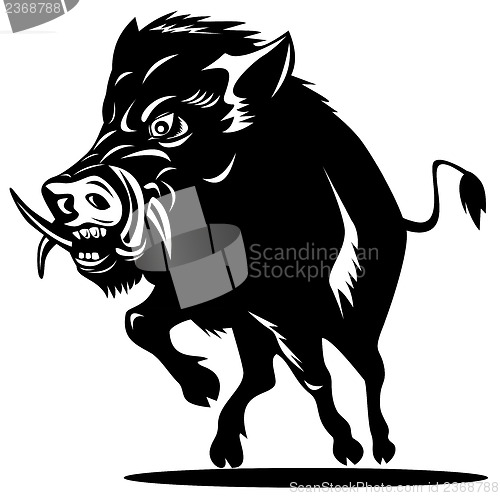 Image of Wild Pig Boar
