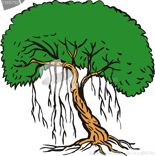 Image of Tree with Vine