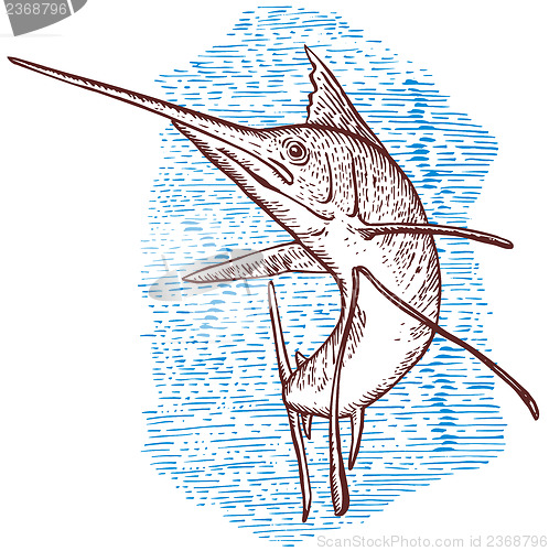 Image of Sailfish Fish Jumping Sketch