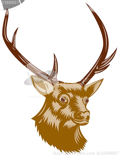 Image of Deer Stag Buck Woodcut Retro