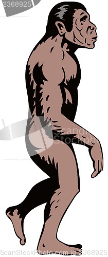 Image of Primitive Man Walking Side