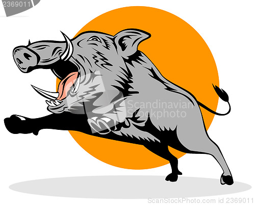 Image of Wild Pig Boar Jumping