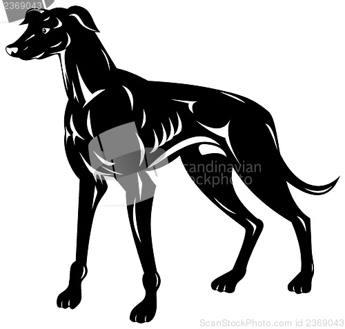 Image of Greyhound Dog Retro