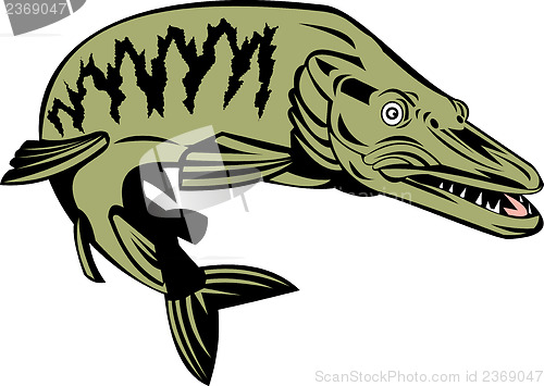 Image of Muskie Muskellunge Fish Retro