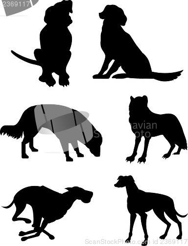 Image of Canine Silhouettes