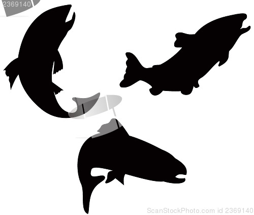 Image of Trout Fish Silhouette Retro
