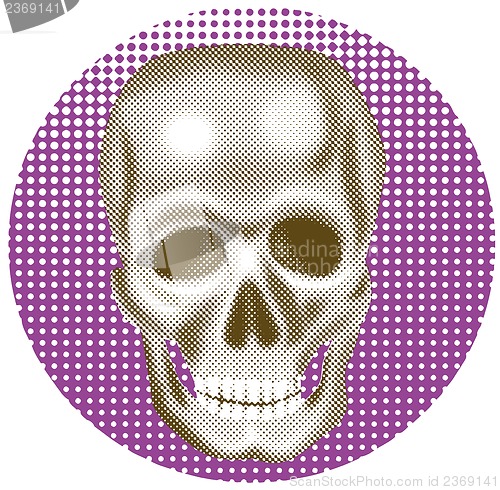 Image of Skull
