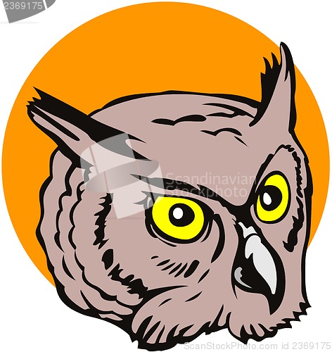 Image of Owl Head