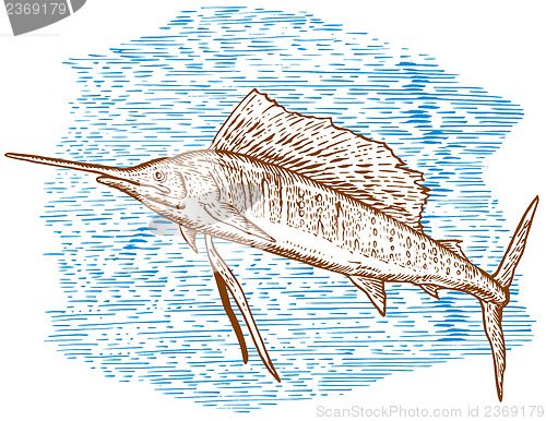 Image of Sailfish Fish Jumping Sketch