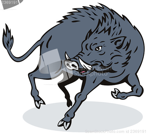 Image of Wild Hog Jumping