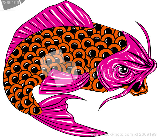 Image of Koi Carp Fish Jumping