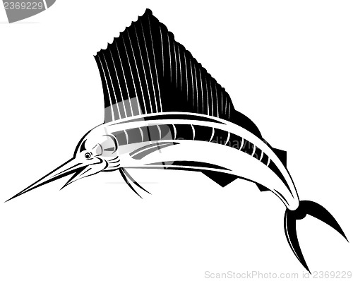 Image of Sailfish Fish Jumping 