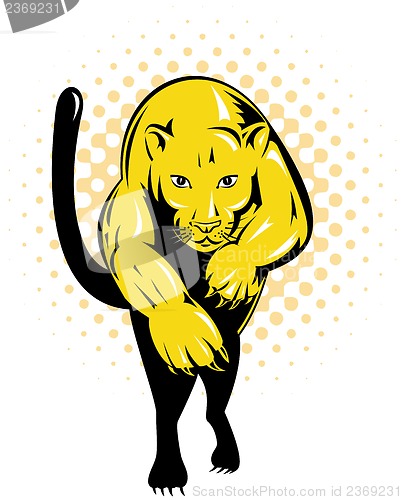 Image of Puma Jumping