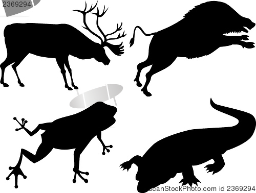 Image of Wildlife Silhouettes