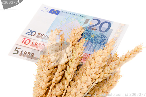 Image of wheat ripe harvest ears euro banknotes isolated 