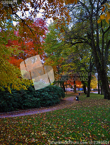 Image of Colors