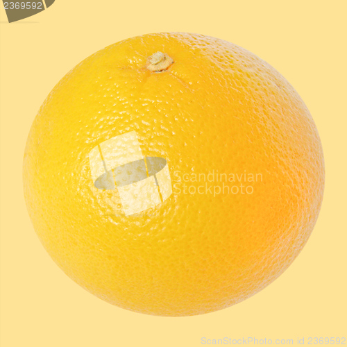 Image of Grapefruit fruit