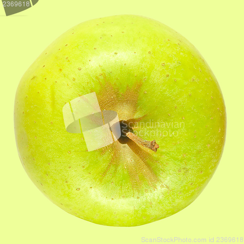 Image of Granny Smith Apple