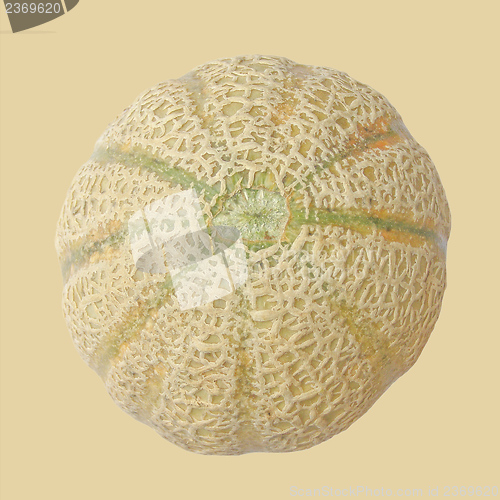 Image of Melon fruit