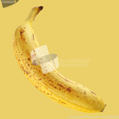 Image of Banana fruit